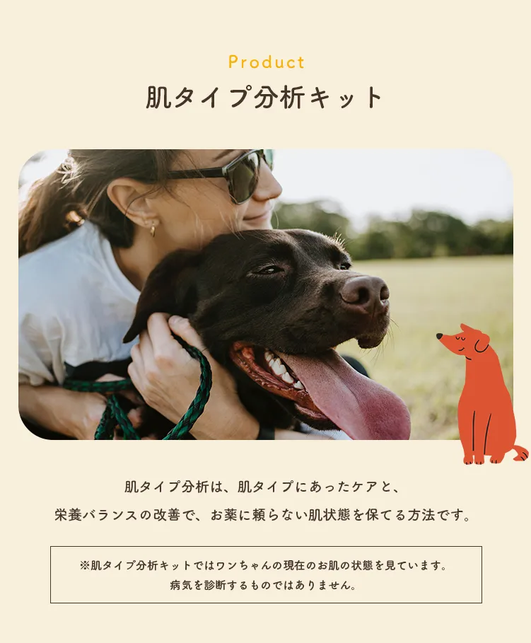 肌タイプ分析キット
