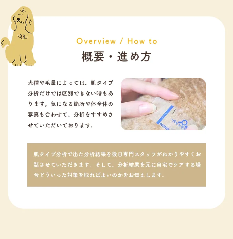概要・進め方