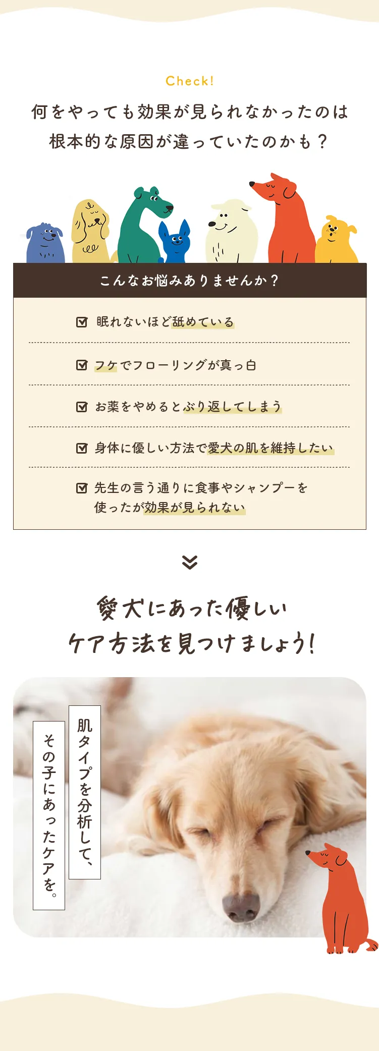 何をやっても効果が見られなかったのは根本的な原因が違っていたのかも？愛犬にあった優しいケア方法を見つけましょう!