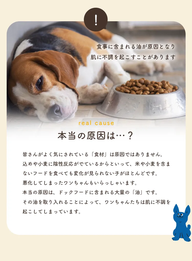 本当の原因は…？