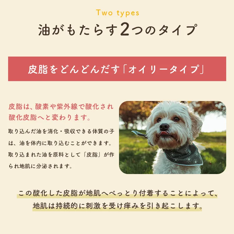 油がもたらす2つのタイプ 皮脂をどんどんだす「オイリータイプ」