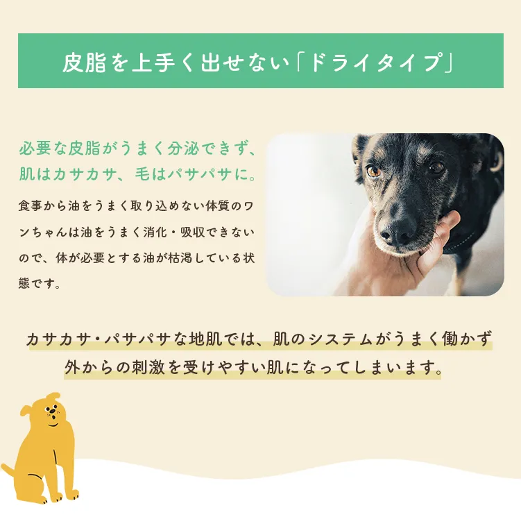 皮脂を上手く出せない「ドライタイプ」