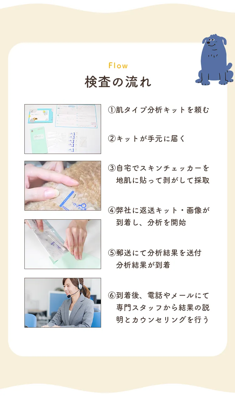 検査の流れ