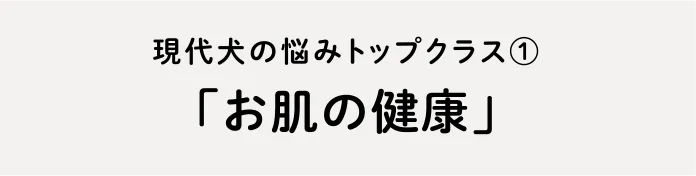 お肌の健康