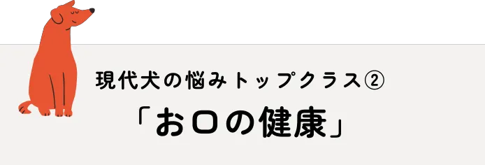 お口の健康
