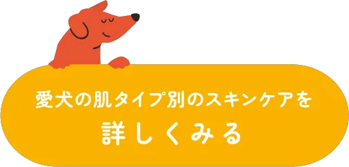 スキンケアボタン