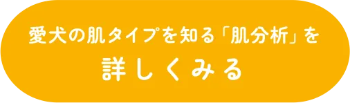 肌分析ボタン