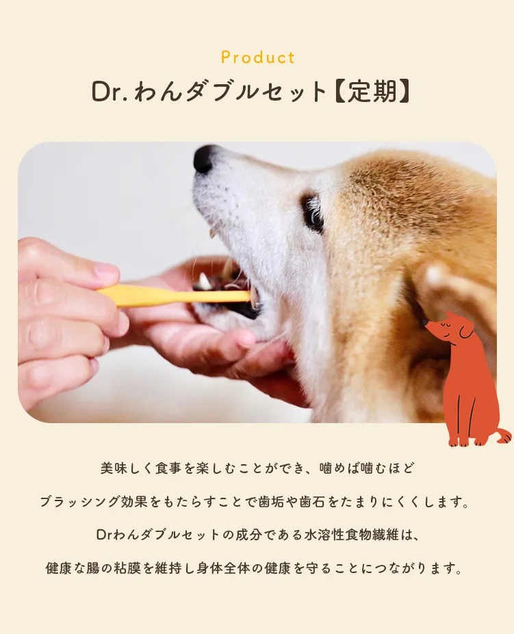 Dr.わんダブルセット【定期】