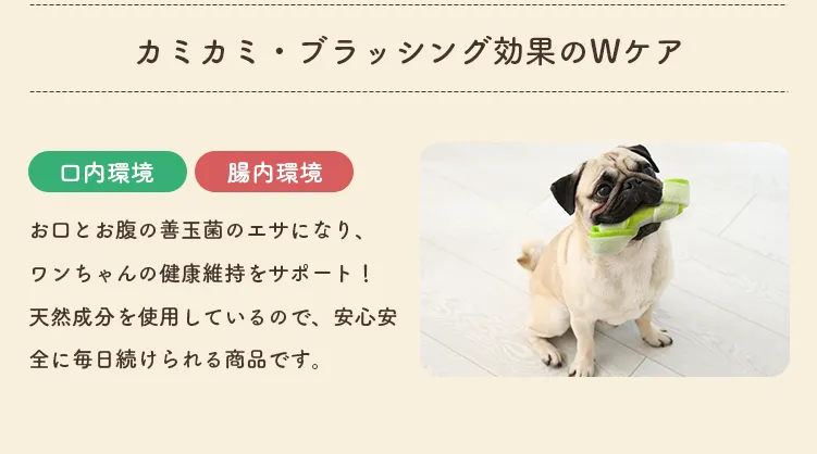 カミカミ・ブラッシング効果のWケア