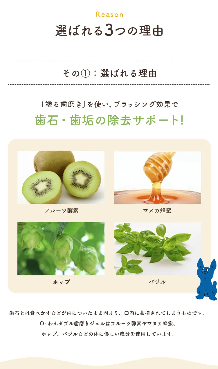 選ばれる3つの理由 「塗る歯磨き」を使い、ブラッシング効果で歯石・歯垢の除去サポート!