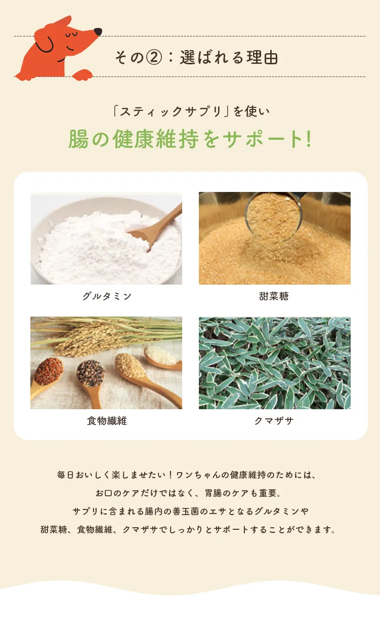 「スティックサプリ」を使い腸の健康維持をサポート!